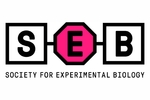 SEB SEB